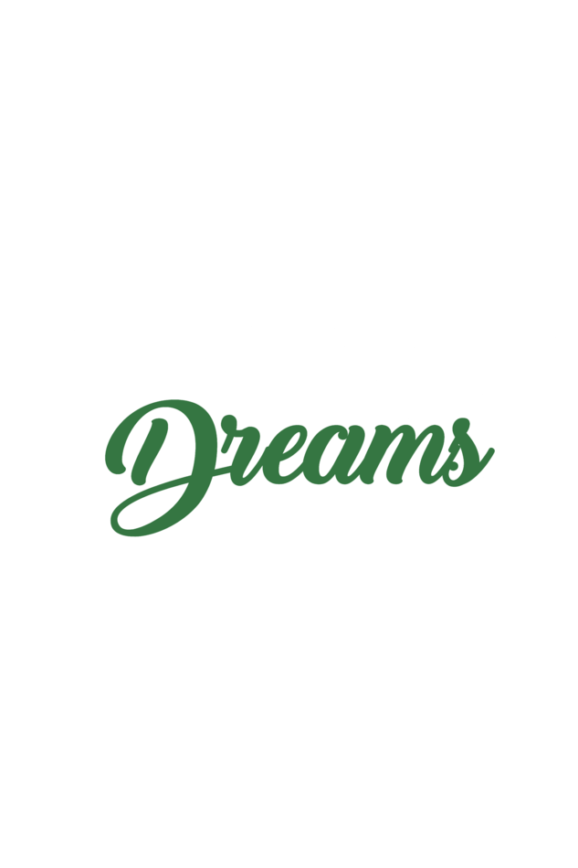 Chase Your Dreams Unisex T-shirt